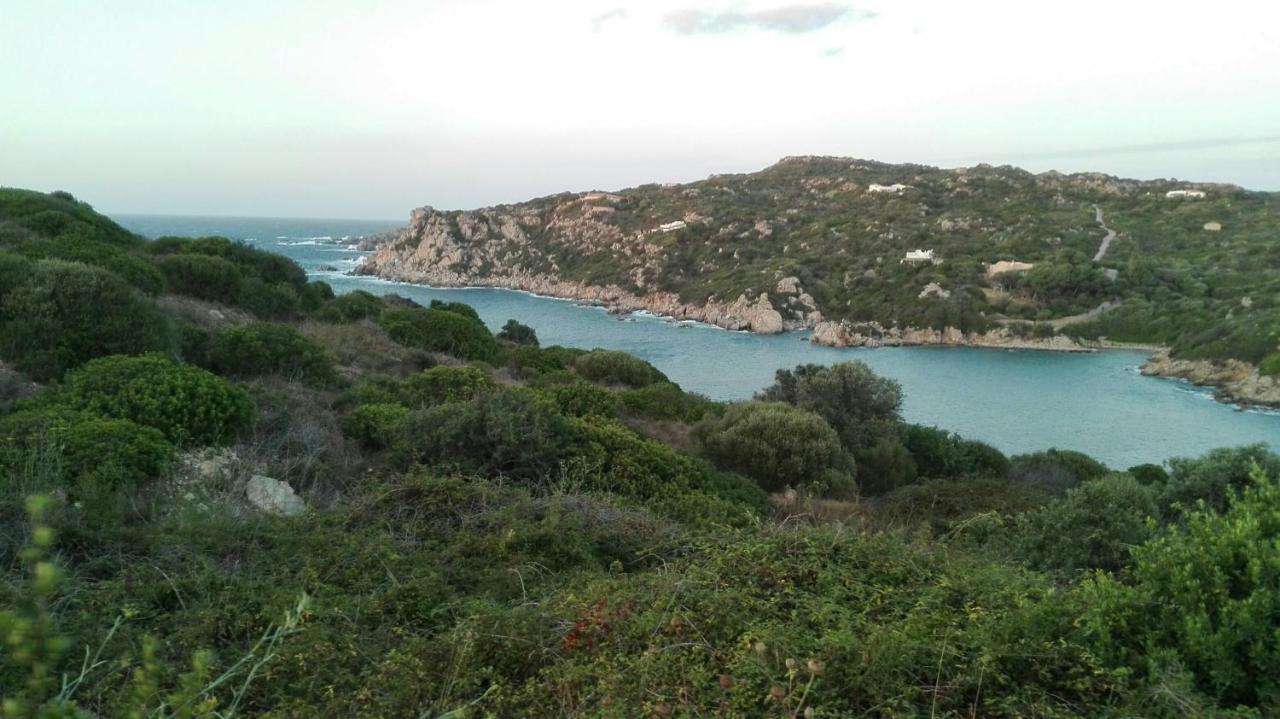 Appartamento In Paese A Santa Teresa Di Gallura מראה חיצוני תמונה